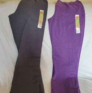 Brand new Haynes sweatpants